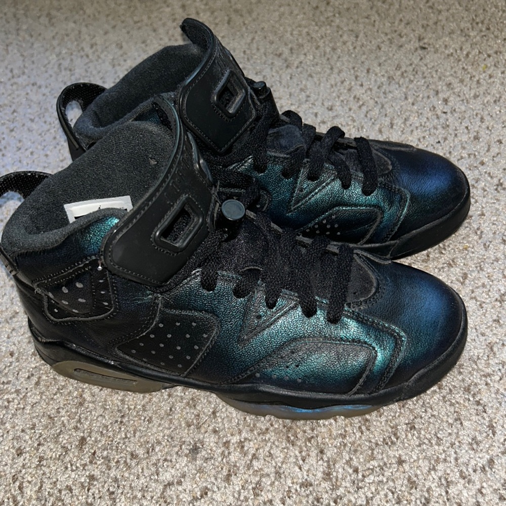 Jordan 6 Chameleon